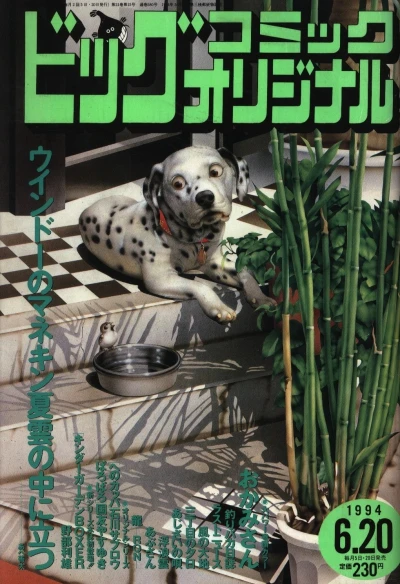 Cover of No. 12, 1994