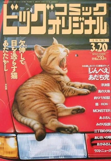 Cover of No. 6, 1995