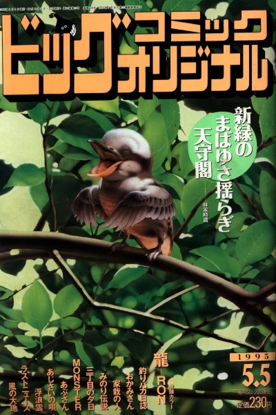 Cover of No. 9, 1995