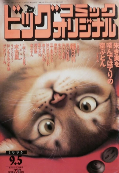 Cover of No. 17, 1995