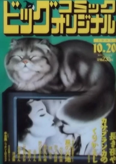 Cover of No. 20, 1995