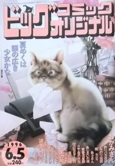 Cover of No. 11, 1996