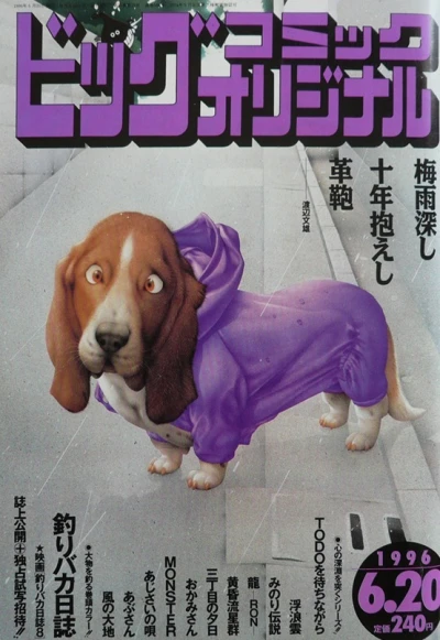 Cover of No. 12, 1996