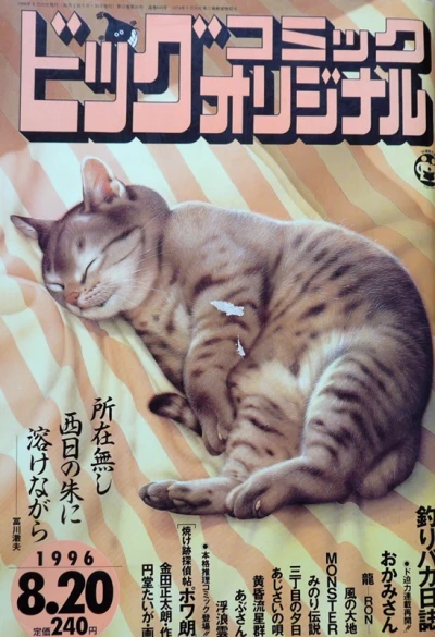 Cover of No. 16, 1996