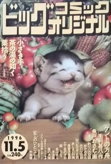 Cover of No. 21, 1996