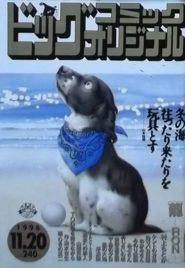 Cover of No. 22, 1996