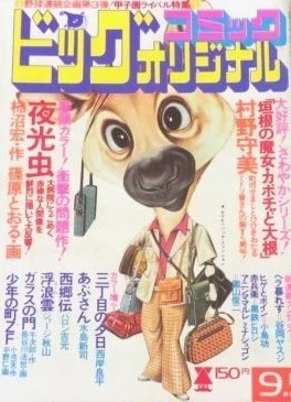 Cover of No. 17, 1976