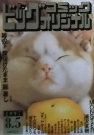 Cover of No. 15, 1997