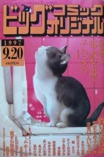 Cover of No. 18, 1997