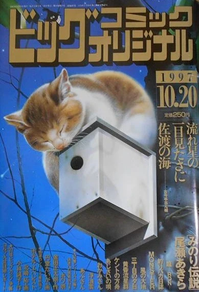 Cover of No. 20, 1997
