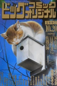 No. 20, 1997