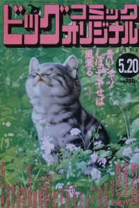 No. 10, 1998