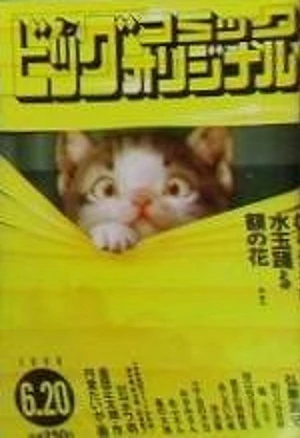 Cover of No. 12, 1998