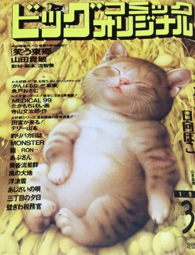 Cover of No. 5, 1999
