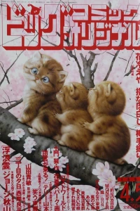No. 7, 1999