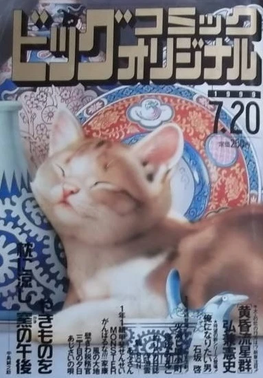 Cover of No. 14, 1999