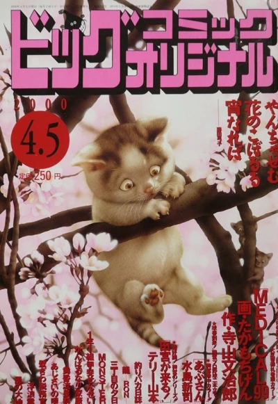 Cover of No. 7, 2000