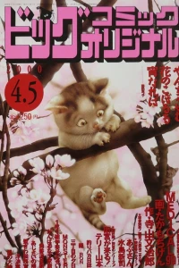 No. 7, 2000