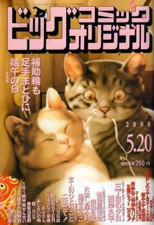 Cover of No. 10, 2000