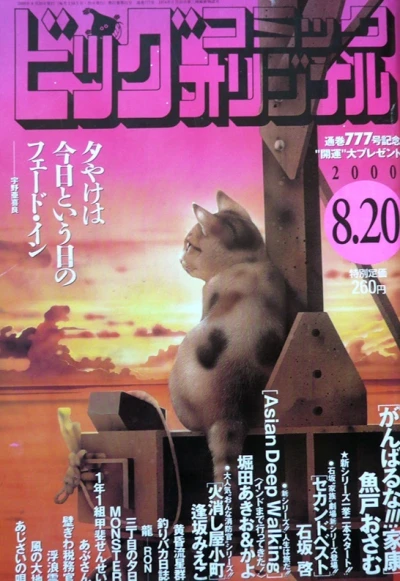 Cover of No. 16, 2000