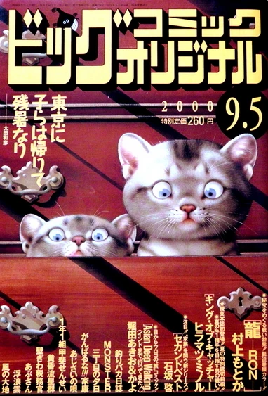 Cover of No. 17, 2000