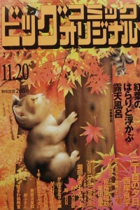 No. 22, 2000