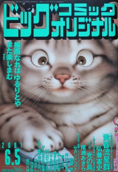 Cover of No. 11, 2001
