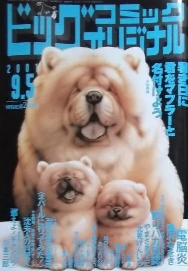 Cover of No. 17, 2001