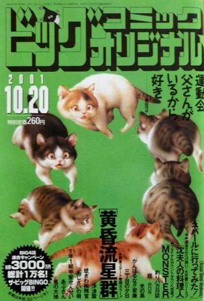 Cover of No. 20, 2001
