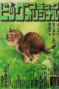 No. 9, 2002