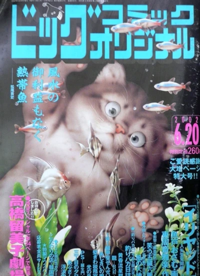 Cover of No. 12, 2002