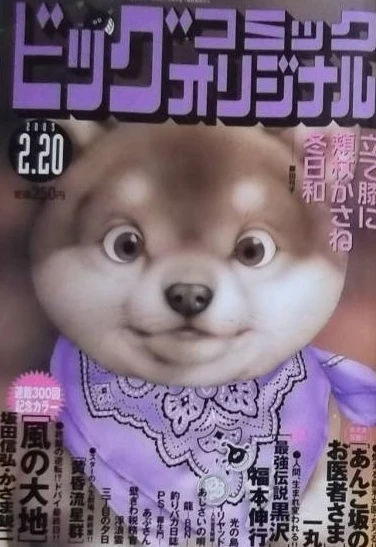 Cover of No. 4, 2003