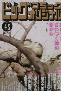 No. 7, 2003