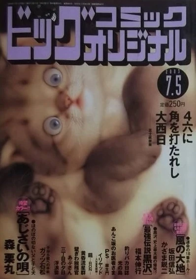 Cover of No. 13, 2003