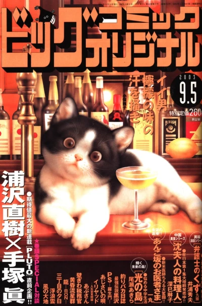 Cover of No. 17, 2003