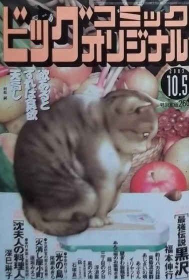 Cover of No. 19, 2003