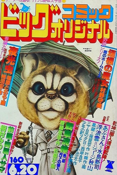 Cover of No. 12, 1977