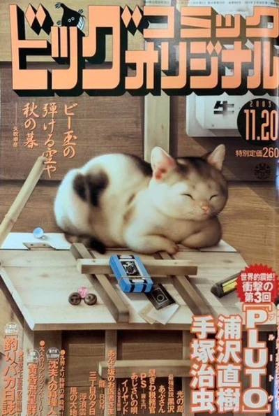 Cover of No. 22, 2003