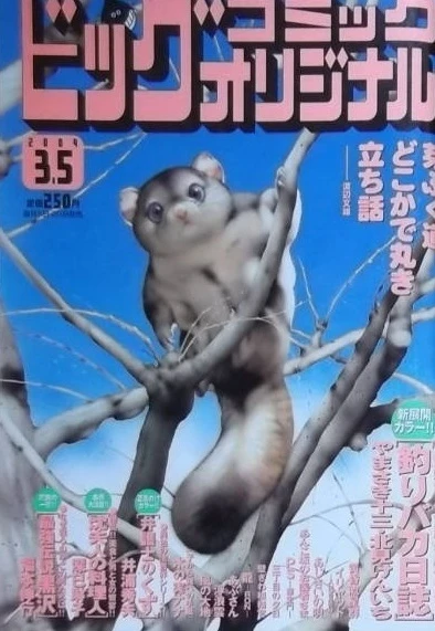 Cover of No. 5, 2004