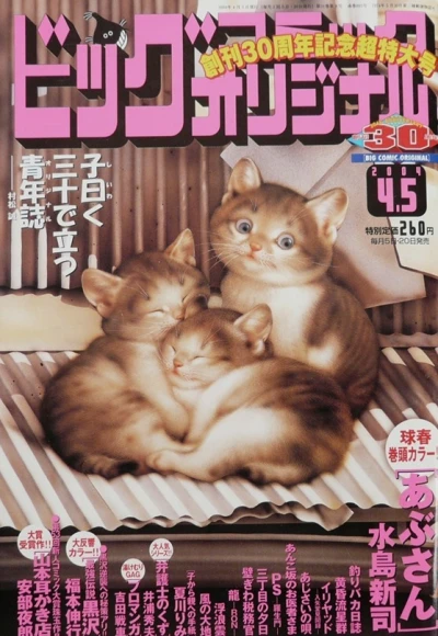 Cover of No. 7, 2004