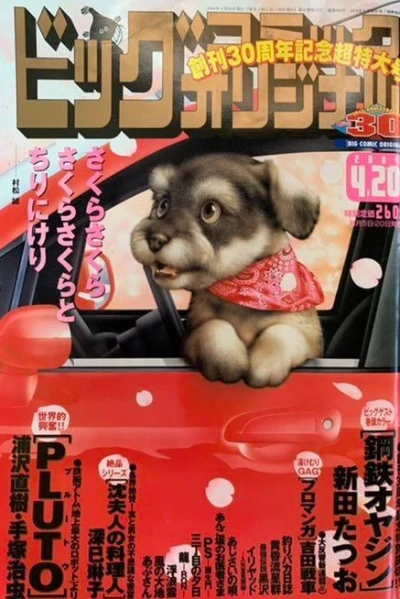 Cover of No. 8, 2004