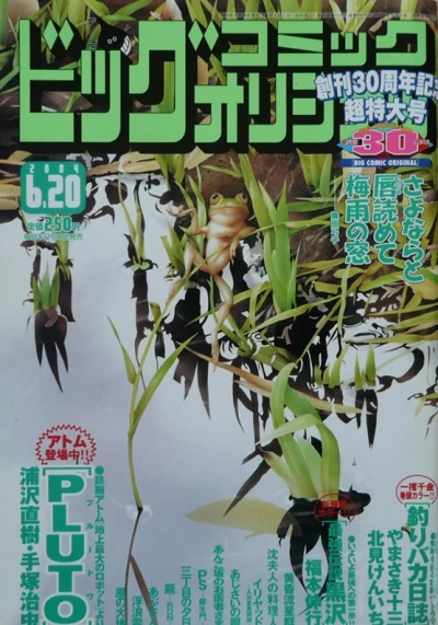 Cover of No. 12, 2004