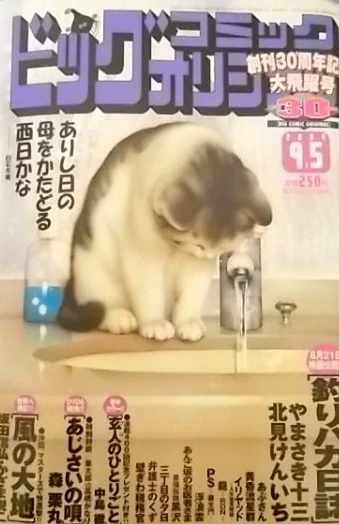 Cover of No. 17, 2004