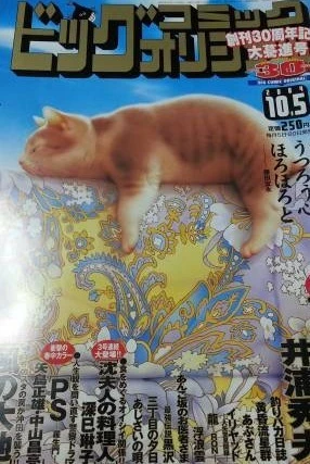 Cover of No. 19, 2004