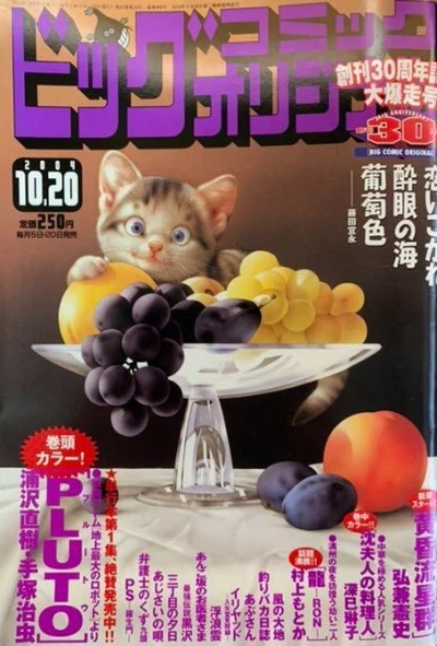 Cover of No. 20, 2004