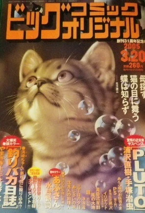 Cover of No. 6, 2005