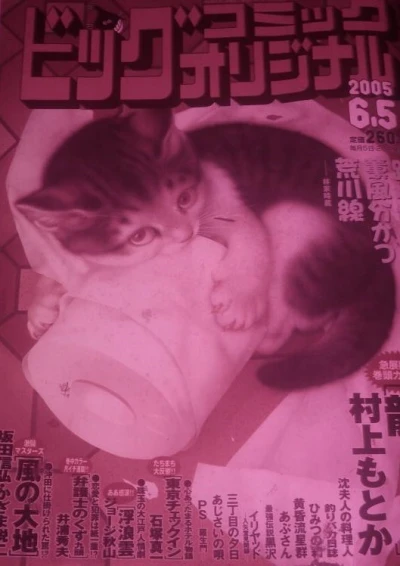Cover of No. 11, 2005