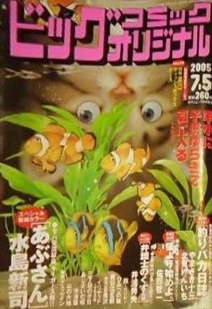 Cover of No. 13, 2005