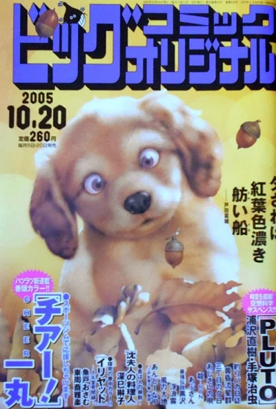 Cover of No. 20, 2005