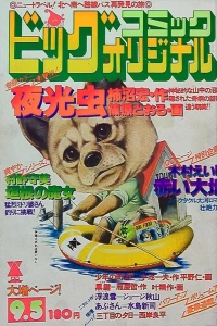 No. 17, 1977